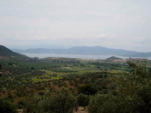varvara-029